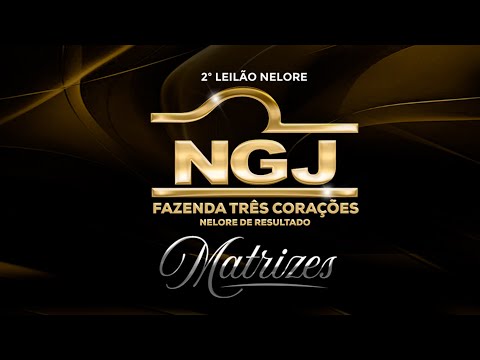 LOTE 18