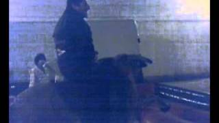 Bruno Sul Toro Meccanico