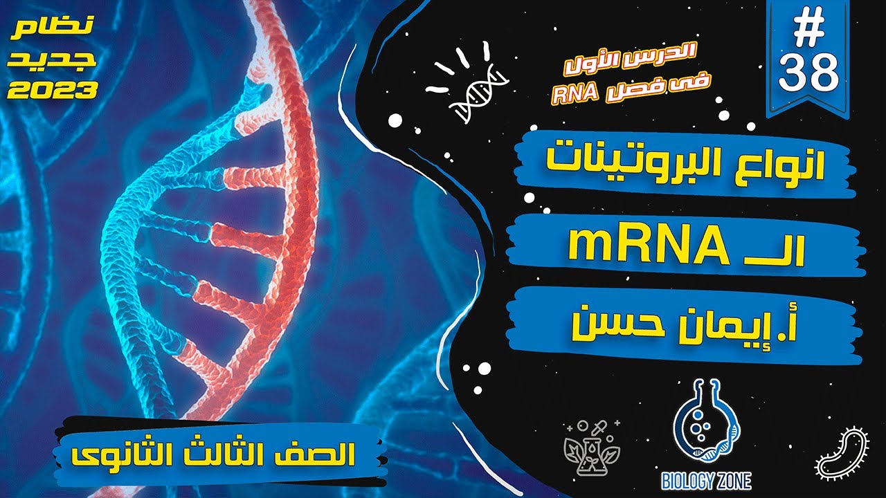 #38 | شرح درس RNA وتخليق البروتين (انواع البروتينات والـ mRNA) | احياء تالته ثانوى 2023 | إيمان حسن🧬