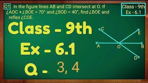 class 9 chapter 6 Lines and Angles exercise 6.1 (3,4) maths #ncert