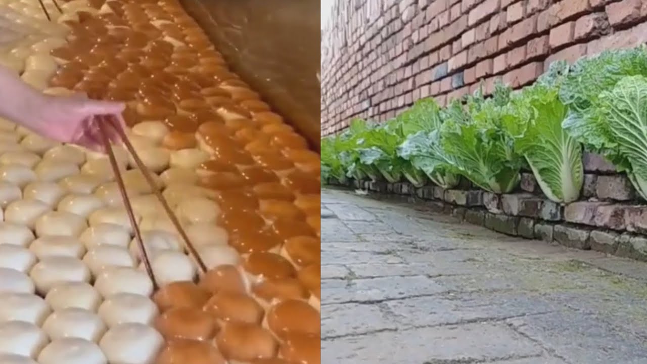 Best Oddly satisfying video | Relaxing Music | Make You Sleep ...