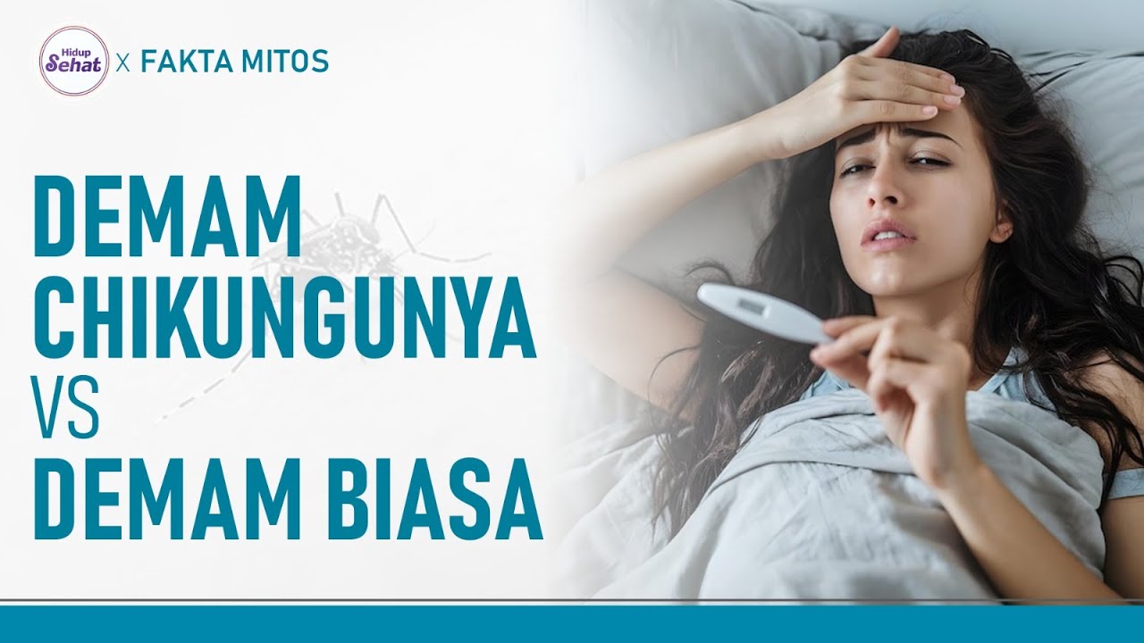 Gejala Demam Chikungunya, Ini Bedanya dengan Demam Biasa! | Hidup Sehat tvOne