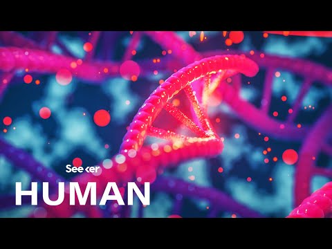 Video: Hoe hou DNA verband met oorerwing?
