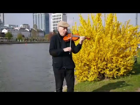 Gavotte  (Gossec)