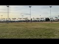 How to get rid of all the geese on the baseball field or park