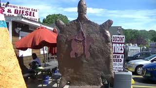 Eagle Eye: The Original Man of America