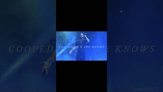 cooped up x she knows - drake x post malone (part 2) #shorts #remix
