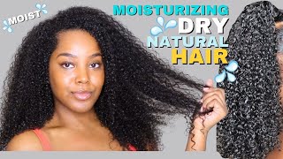 Moisturizing Dry Natural Hair For Growth &amp; Retention | Melissa Denise