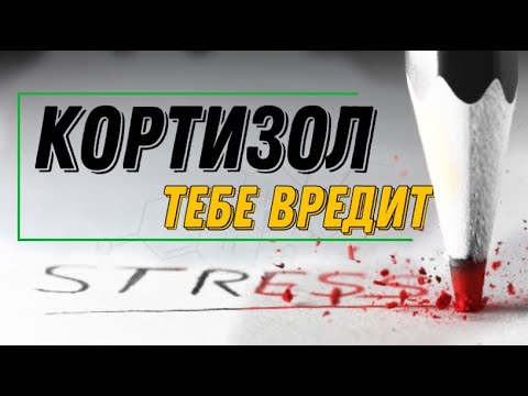 PRO КОРТИЗОЛ, КАК ОН ВРЕДИТ И КАК С НИМ БОРОТЬСЯ.