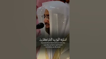 تلاوة عراقية للشيخ ناصر القطامي
