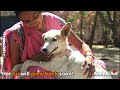 Wounded so badly, emergency surgery was this street dog's only chance.