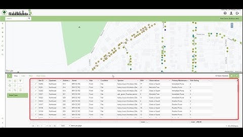 TreeKeeper Data Grids - Overview and Customizing