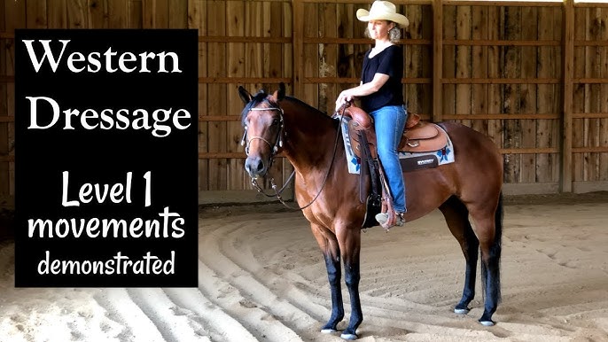 Cowboy Dressage - It is not about the bosal - It is about the light hand!  “People ask about so-called nerve knots on the bosal. These nerve knots  are always on and