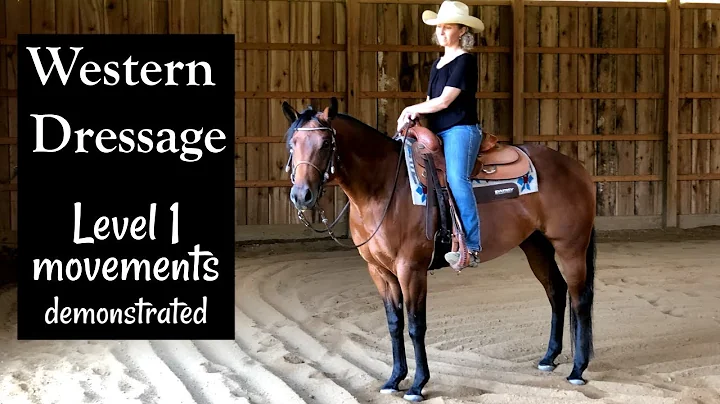 Western Dressage, Level 1 movements demonstrated