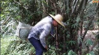 Lagu Bidayuh Serian-Joget Dawu Bandong( music video)