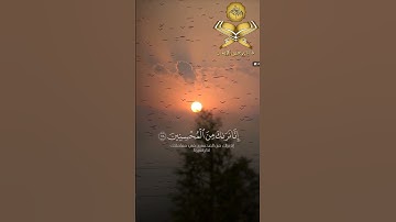 ﴿ قَالُوا يَا أَيُّهَا الْعَزِيزُ إِنَّ لَهُ أَبًا شَيْخًا كَبِيرًا #سورة_يوسف #اكسبلور #قرآن