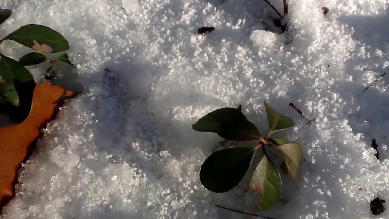 Relaxing Snowy Adventure- Early Winter Hiking