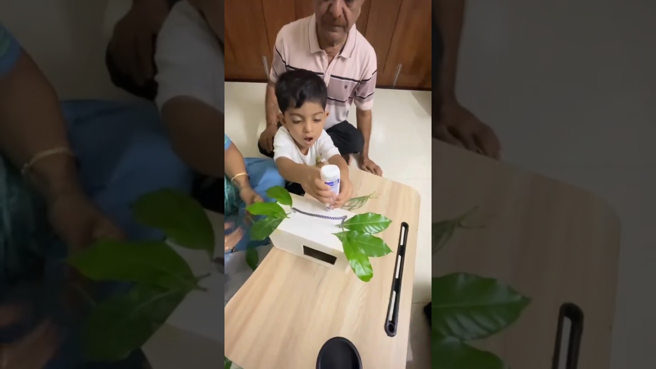 School Activity with my Grandparents 😎