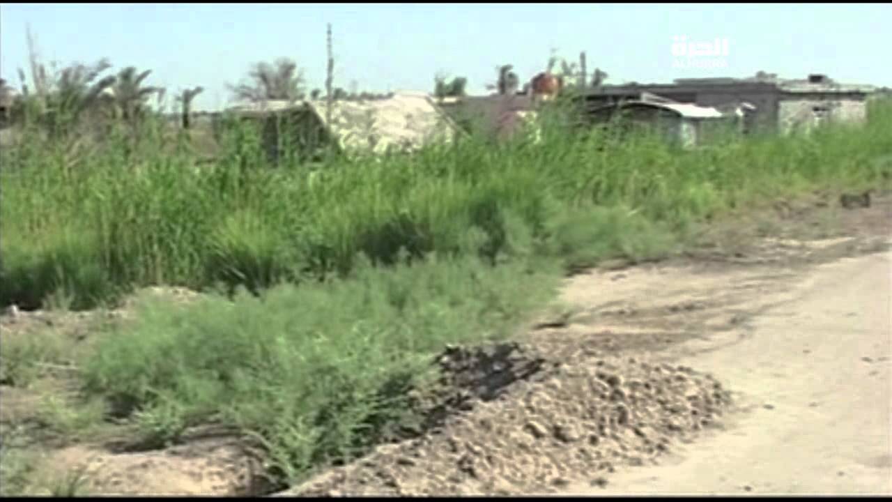 كاميرا الحرة في خطوط التماس مع داعش في قضاء الكرمة في الأنبار