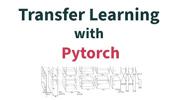 Transfer Learning Explained: A Complete PyTorch Tutorial