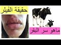 كل ما لا تعلمينه عن الفيلر | ماهو سر البقر