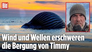 ANHOLT: Neuer Bergungsversuch von Timmy! Akute Explosionsgefahr