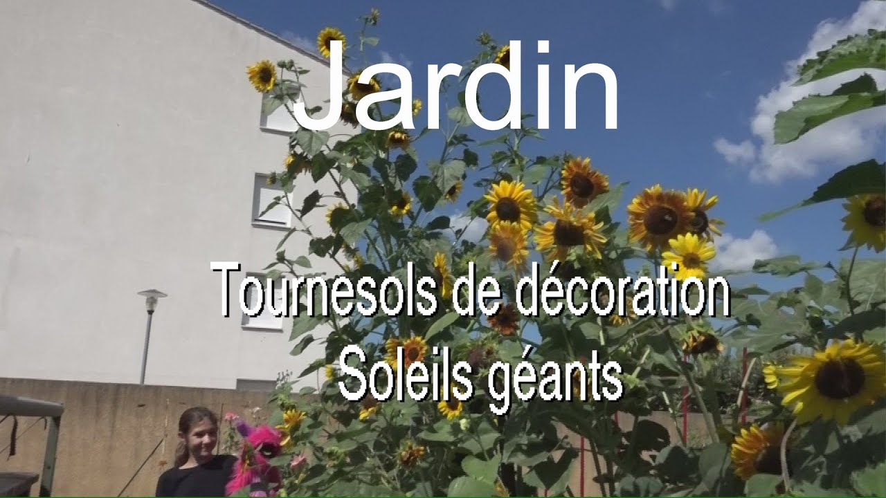 Lot De 5 Tournesols Artificiels Pour Décoration Jardin - Piquets De Pelouse Intérieur Extérieur