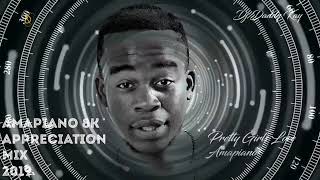 AMAPIANO MIX //PRIVATE SCHOOL YANOS // BY DADDY KAY APPRECIATION MIX