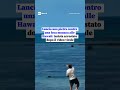 Lancia una pietra contro una foca monaca alle Hawaii: turista arrestato dopo il video virale