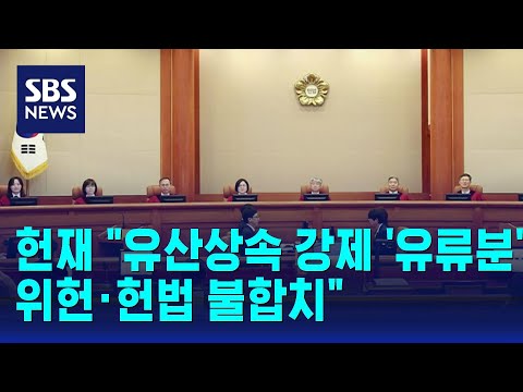 헌재 &quot;유산상속 강제 &#39;유류분&#39;, 위헌 · 헌법 불합치&quot; / SBS