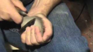 Scottsbluff 4.wmv