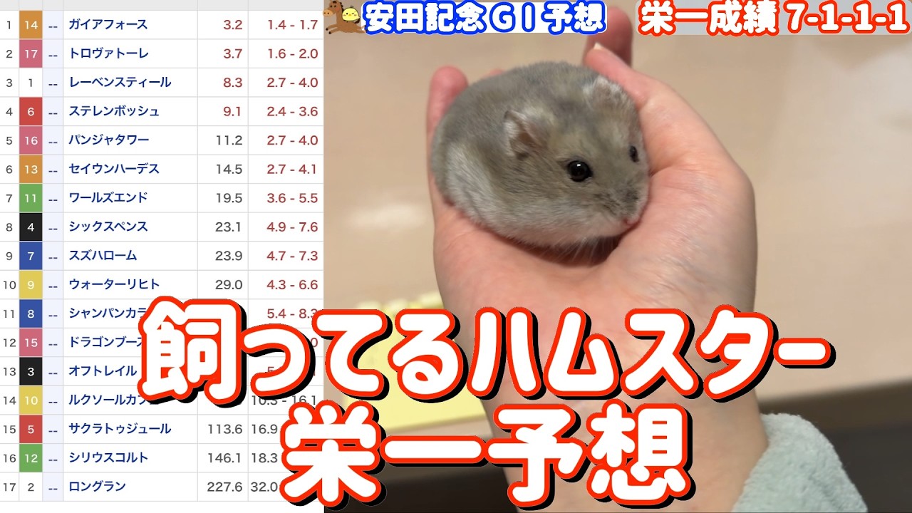 競馬予想【GⅠ安田記念🐎 2026.6.7】10連続馬券内へ！まさかおまえ・・・