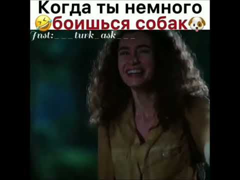 Когда ты немного боишься собак..😂😹#вожиданиисолнца #турецкиесериалы