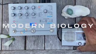 Modern Biology - Raga Madhmad Sarang (Indian Tapes Vol 1)