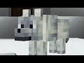 Speedrun wolf terlangka‼️‼️Snowy wolf, berhasilkah?