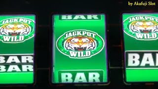 JACKPOT★High Limit Slot Handpay - Double LION Slot Machine, 9 Lines Max Bet $9 at San Manuel Casino screenshot 5
