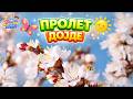 Пролет Дојде Детска Песна за Пролет Kids Spring Song