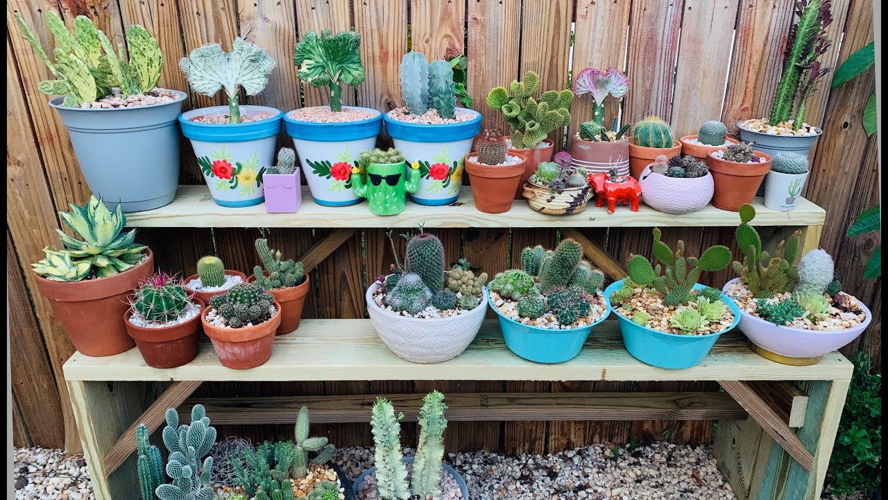 Como hacer un Estante para Cactus y suculentas