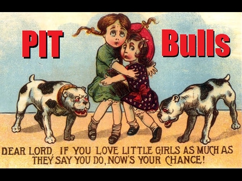 Video: Pit Bulls, Profilering Og Fordomme