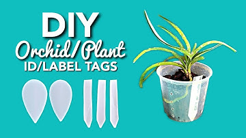 VERY EASY DIY ORCHID/PLANT ID/LABEL TAGS | HOW TO LABEL ORCHIDS/PLANTS | RECYCLE PLASTIC BOTTLES