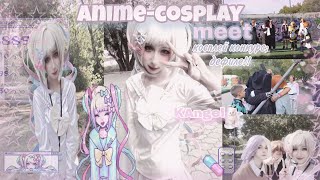 видео: аниме-фест(ивент) или как прошел наш летний last meet!!//влог с косплей встречи//KAngel cosplay♡ картинка: аниме-фест(ивент) или как прошел наш летний last meet!!//влог с косплей встречи//KAngel cosplay♡