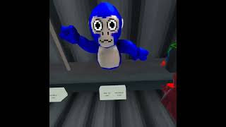 checking out the launch flashback