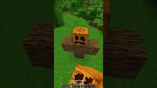 Minecraft How to Spawn Br Br Patapim🤯