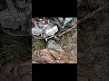 Будь проклят тот день когда я поверил местным рыбакам#рыбалка#fishing#приключения