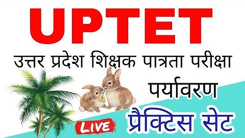 Uptet 2022 Best Class Environment 23 January Best Class