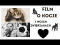 🌟 MOJE ŻYCIE ZE ZWIERZĘTAMI 🐶🐱 VLOG O MILOŚCI 💘 DOM BEZ KOTA TO GLUPOTA! DOM BEZ PSA DNO DNA