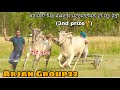 Ox race competition  pind meghowal doaba 08042018   3nd prize oxraces arjangroup22