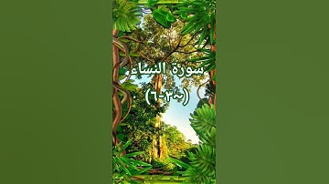 #اكسبلور #sheikhmansouralsalimi #duet #دويتو #القرآن_الكريم #ترند #راحة_نفسية #تيك_توك #سوره_النساء