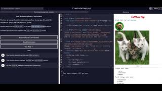 06 Taste the Bootstrap Button Color Rainbow - FreeCodeCamp EXPLAINED -GUIDE - Front End Libraries Net Worth