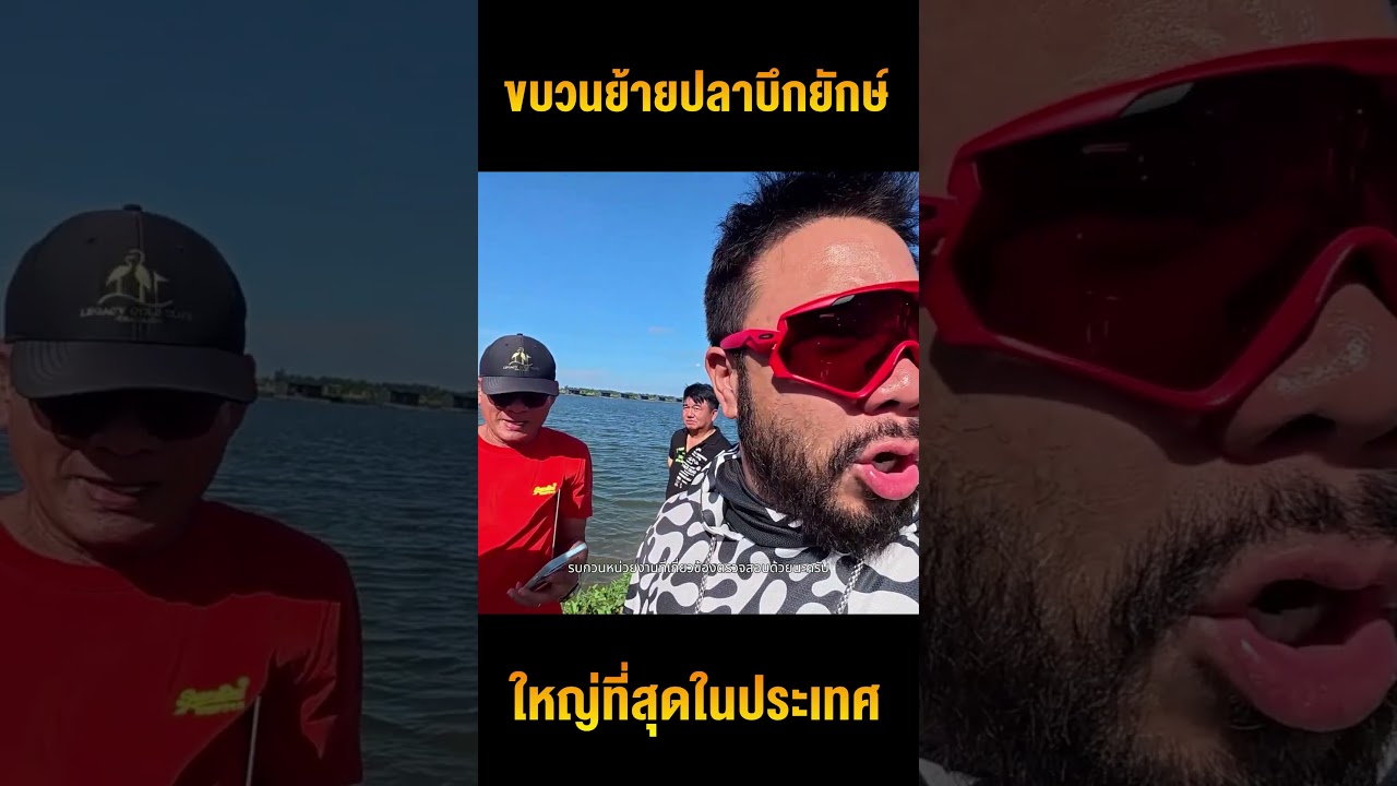 ย้ายปลาบึกยักษ์ อลังการที่สุดในไทย